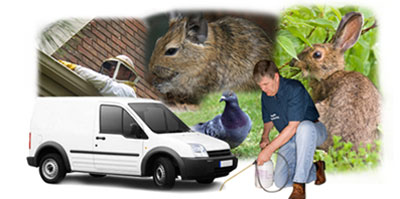 Leighton Buzzard local van